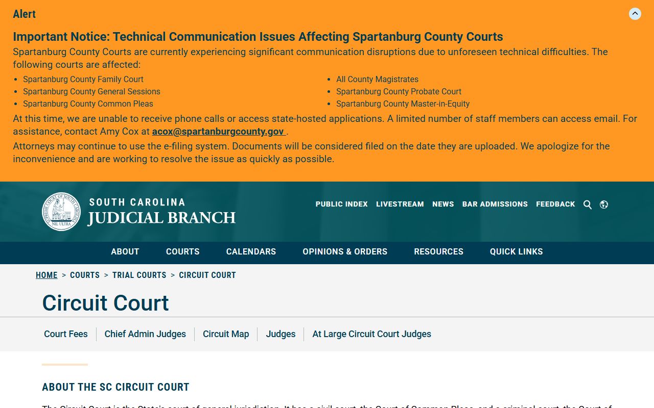 Newberry County court dockets Circuit Court source screenshot
